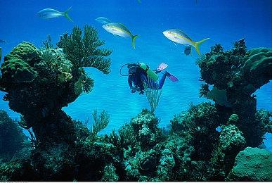 《星际战甲》开发商新作《灵甲神兵》12月首测